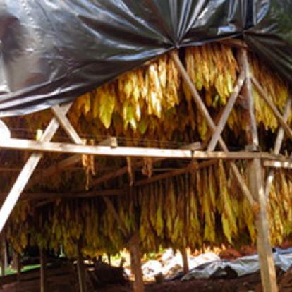 Voyage en Argentine de Maurice et Hélène