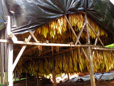 Voyage en Argentine de Maurice et Hélène
