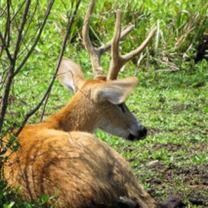 Voyage en Argentine de Maurice et Hélène