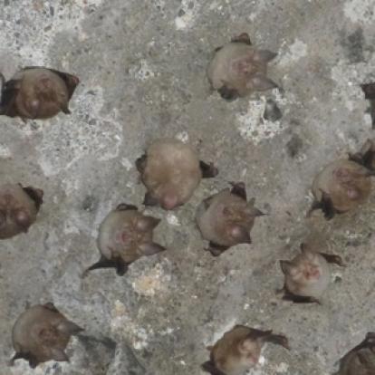 Voyage en Arménie de Monique