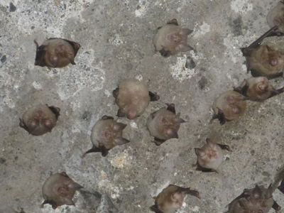 Voyage en Arménie de Monique