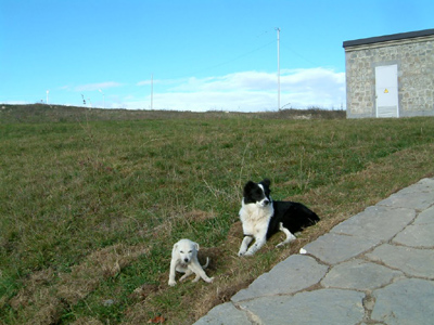 Rencontre insolite ©Rose et Gérard R.- Tous Droits réservés