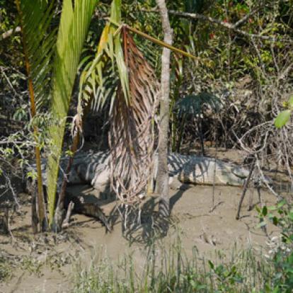 Le Voyage au Bangladesh de Jan et Anne