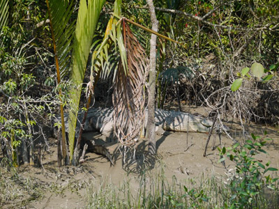 Le Voyage au Bangladesh de Jan et Anne
