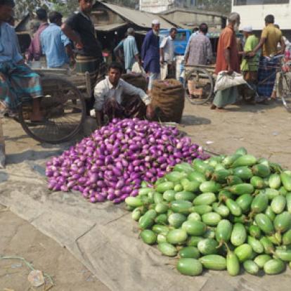 Le Voyage au Bangladesh de Jan et Anne