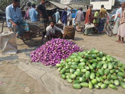 Le Voyage au Bangladesh de Jan et Anne
