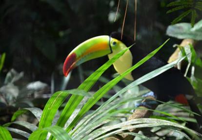 Voyage au Belize de Thomas