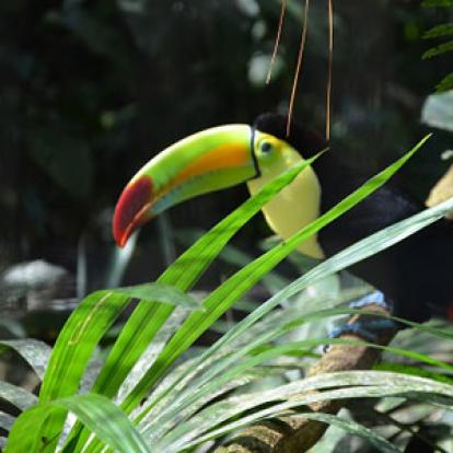 Voyage au Belize de Thomas