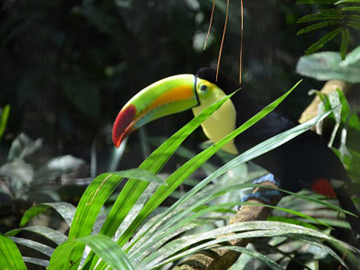 Voyage au Belize de Thomas