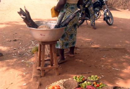 Bénin Voyage au Bénin de Christiane et Christophe