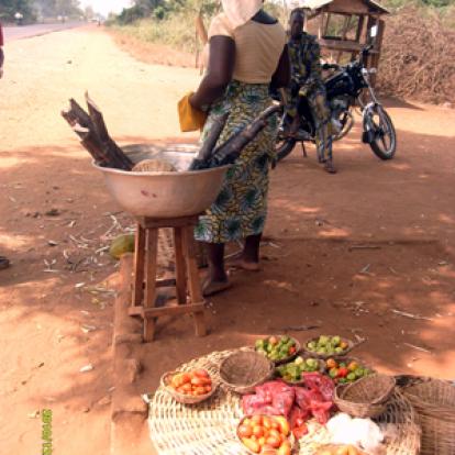 Voyage au Bénin de Christiane et Christophe