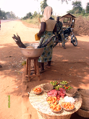 Voyage au Bénin de Christiane et Christophe