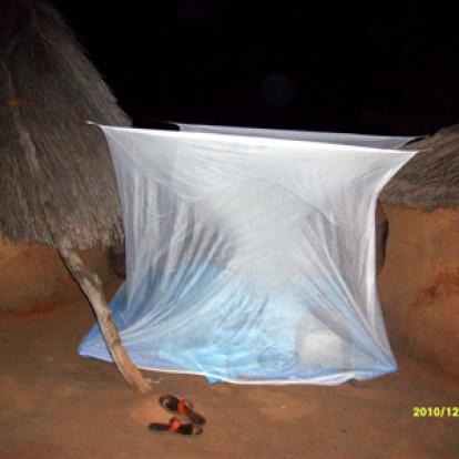 Voyage au Bénin de Christiane et Christophe