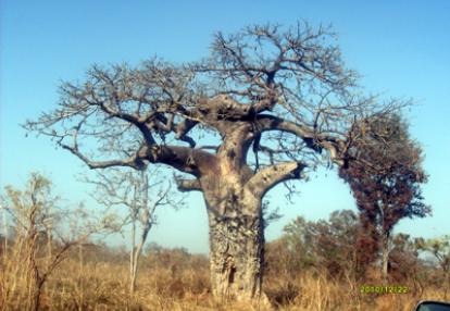 Voyage au Bénin de Christiane et Christophe