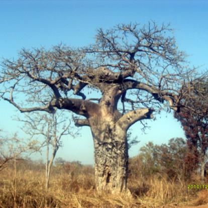 Voyage au Bénin de Christiane et Christophe