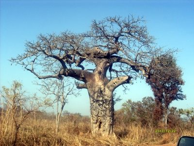 Voyage au Bénin de Christiane et Christophe