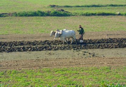Voyage en Birmanie de Monica