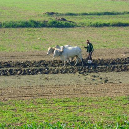 Voyage en Birmanie de Monica
