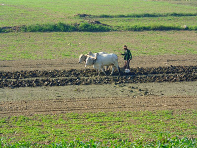 Voyage en Birmanie de Monica