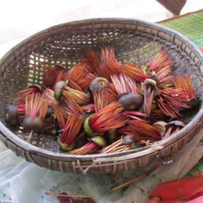 Voyage en Birmanie de la Famille de Catherine