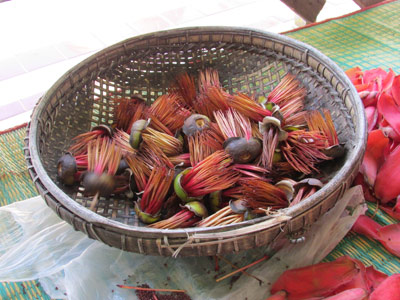 Voyage en Birmanie de la Famille de Catherine