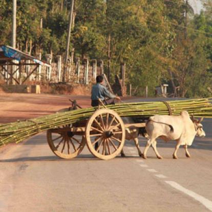 Voyage en Birmanie - Témoignage de Bruno et Yvane