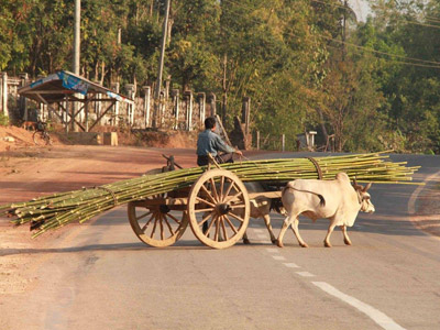 Voyage en Birmanie - Témoignage de Bruno et Yvane