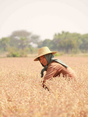 Voyage en Birmanie - Témoignage de Bruno et Yvane