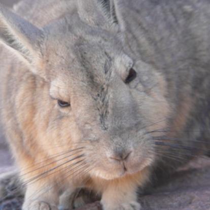 Voyage en Bolivie de Yannick