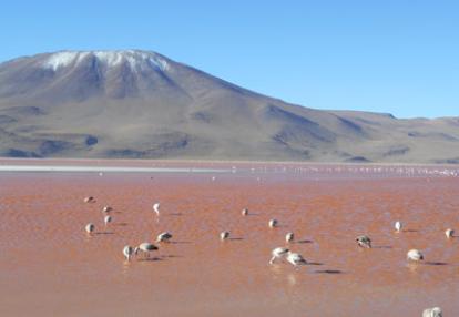 Voyage en Bolivie de Theofano