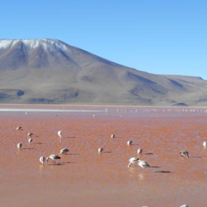 Voyage en Bolivie de Theofano
