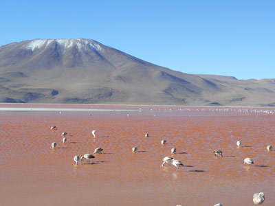 Voyage en Bolivie de Theofano