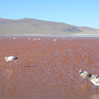 Voyage en Bolivie de Theofano