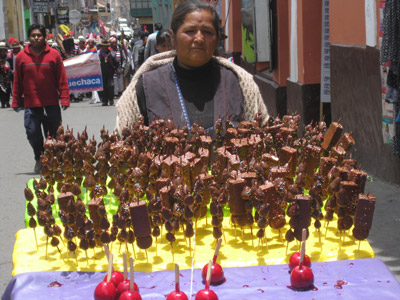 Voyage en Bolivie de Michelle