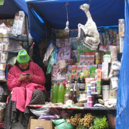 Voyage en Bolivie de Michelle