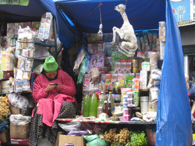 Voyage en Bolivie de Michelle