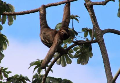 Voyage en Bolivie de Michelle