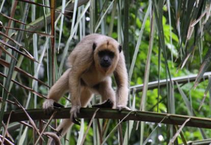 Voyage en Bolivie de Michelle