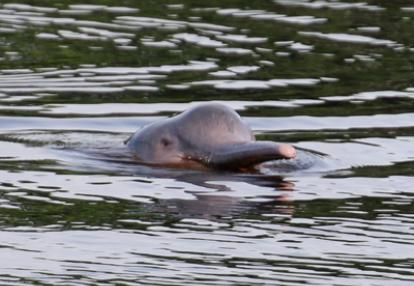 Voyage en Bolivie de Michelle