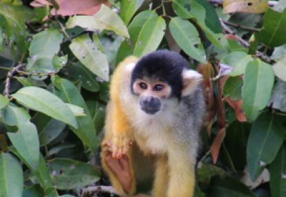 Voyage en Bolivie de Michelle