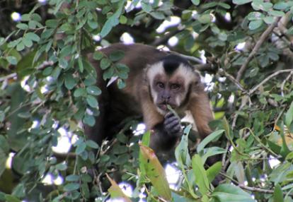 ©Michelle P. - Tous Droits réservés Voyage en Bolivie de Michelle