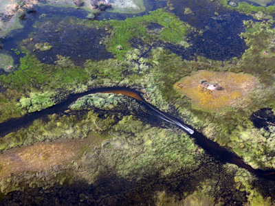 Voyage au Botswana de Frances N.