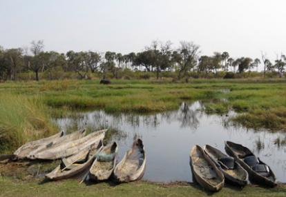 ©Frances N. - Tous Droits réservés Voyage au Botswana de Frances N.