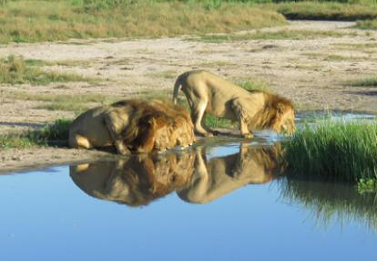 Voyage au Botswana de Jennifer et Pascal G.