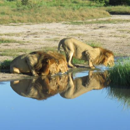 ©Jennifer Et Pascal G. - Tous Droits Réservés Voyage au Botswana de Jennifer et Pascal G.