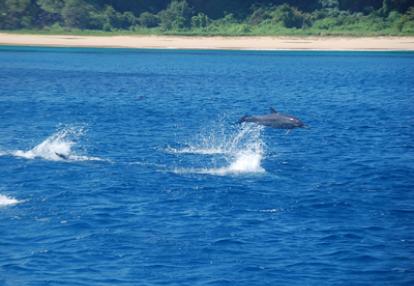 Voyage au Brésil de Fabienne