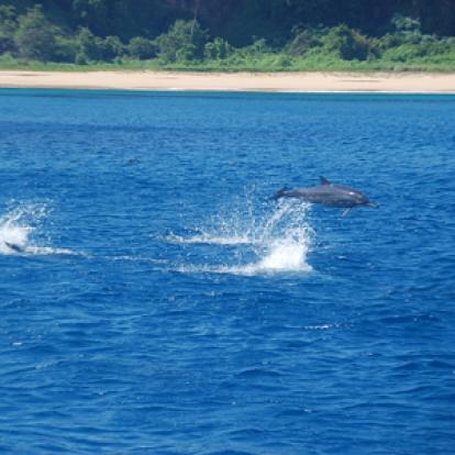 ©Fabienne B. - Tous Droits Réservés Voyage au Brésil de Fabienne