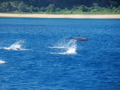©Fabienne B. - Tous Droits réservés Voyage au Brésil de Fabienne