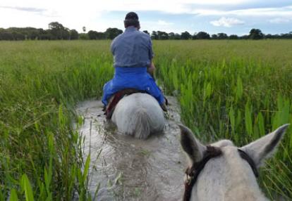 Voyage au Brésil de Lucille et Noël