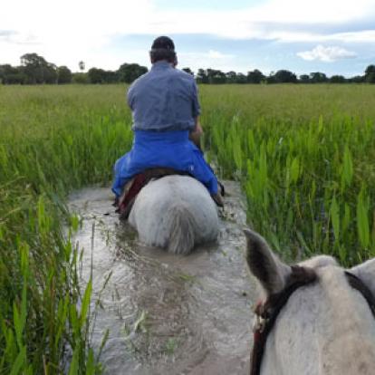Voyage au Brésil de Lucille et Noël